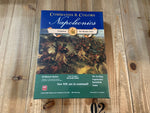 The Russian Army 4th printing - Command & Colors: Napoleonics